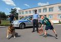 Все смены в воспитательно-оздорповительном лагере Все смены в воспитательно-оздорповительном лагере
