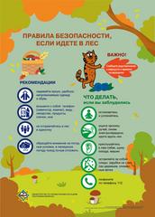 В Докшицком районе в лесном массиве потерялся человек