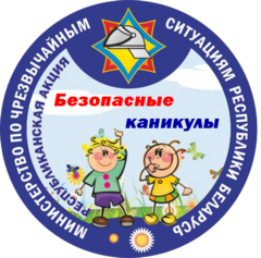 Республиканская акция МЧС «Безопасные каникулы». 