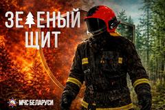 Зеленый щит